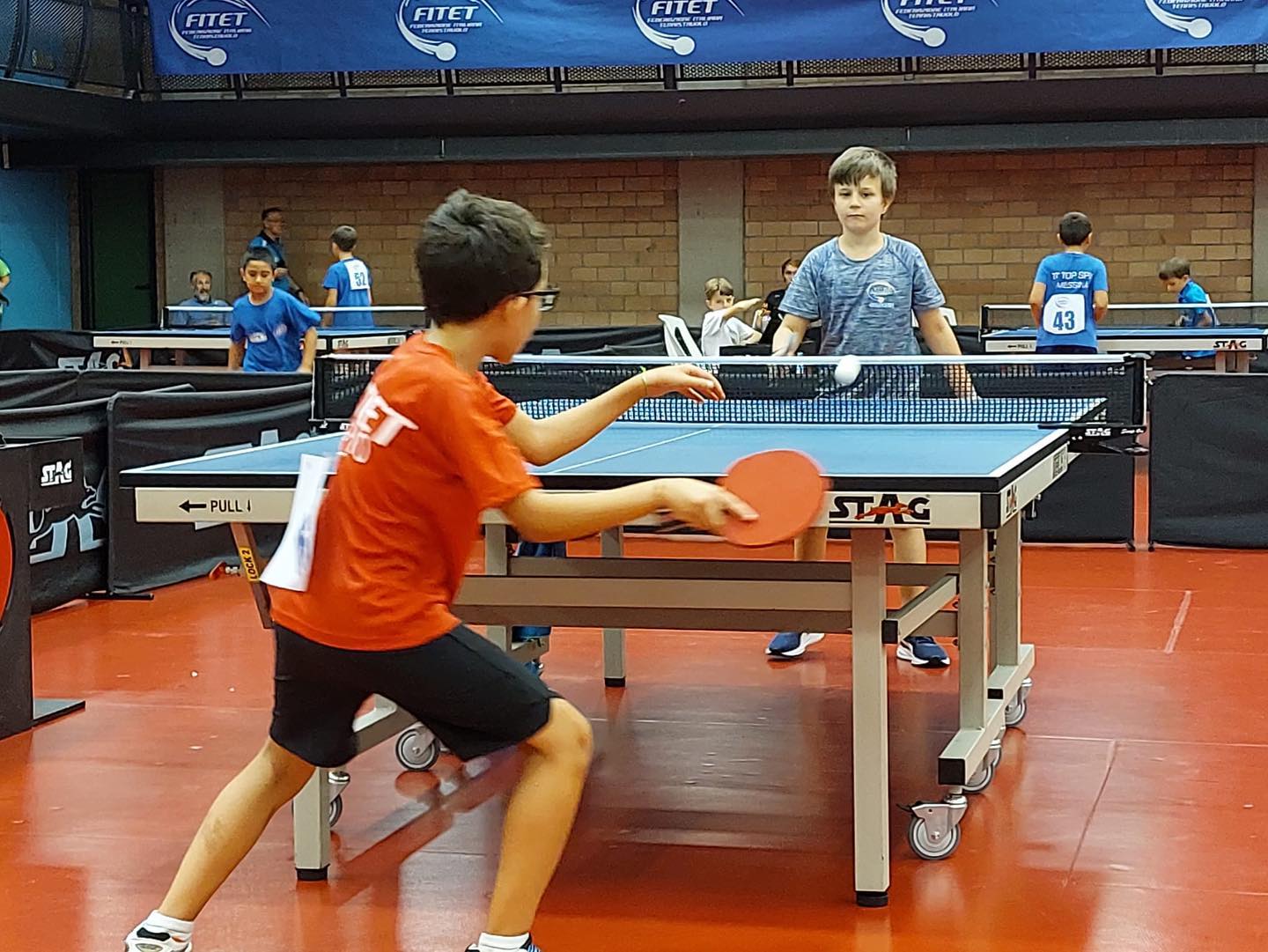 SUMMER CUMP E PING PONG KIDS 2022 dal 28/08 al 04/09 a TERNI