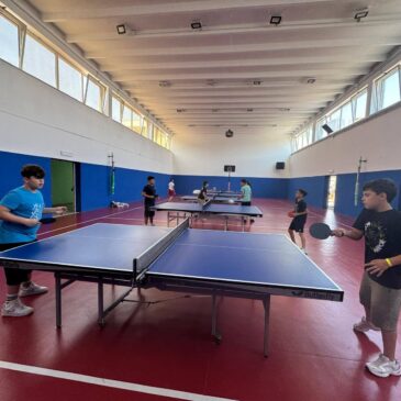 Piano Estate 2024-25